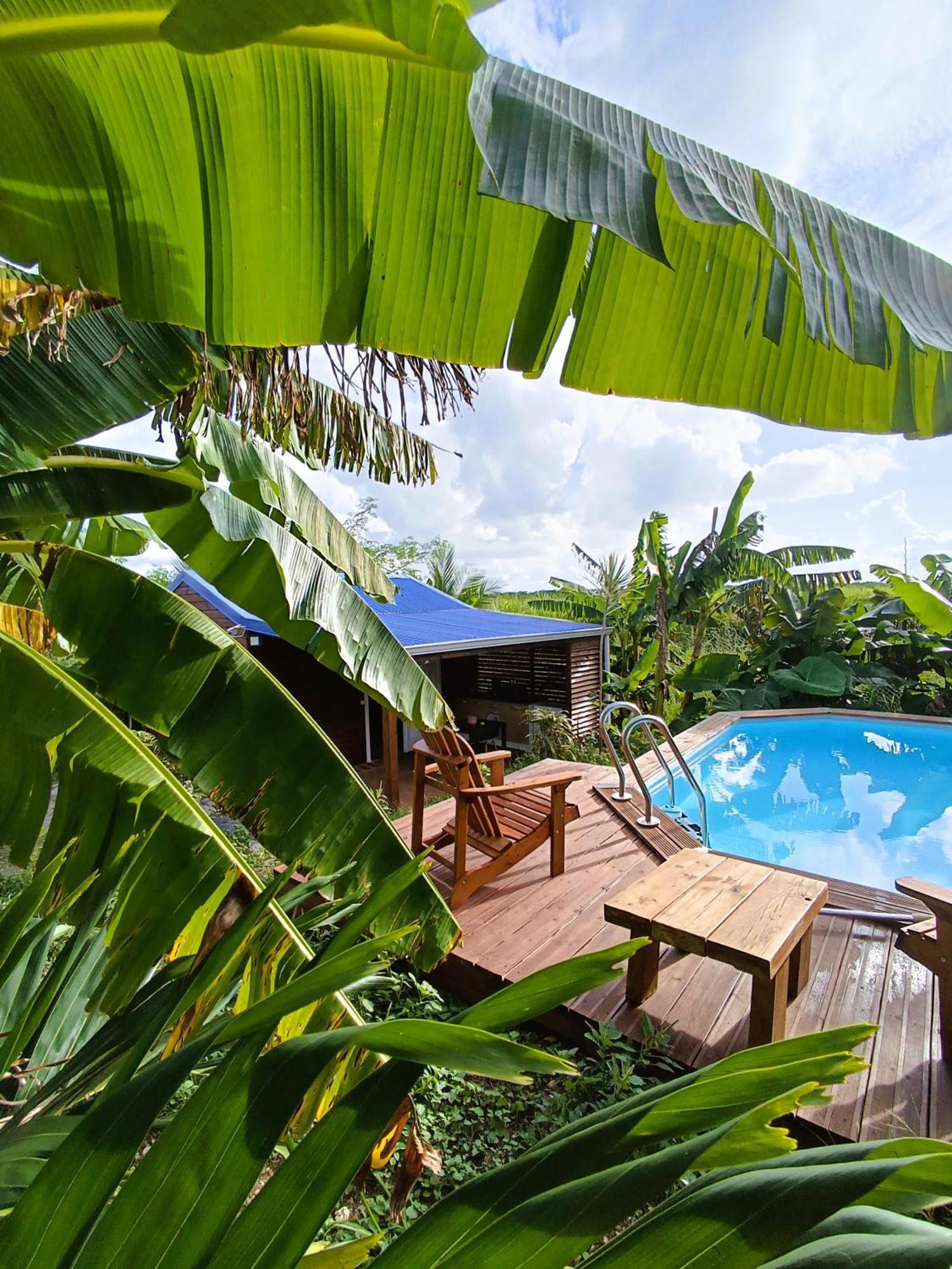 Le Paradis Des Colibris Villa Anse-Bertrand Dış mekan fotoğraf