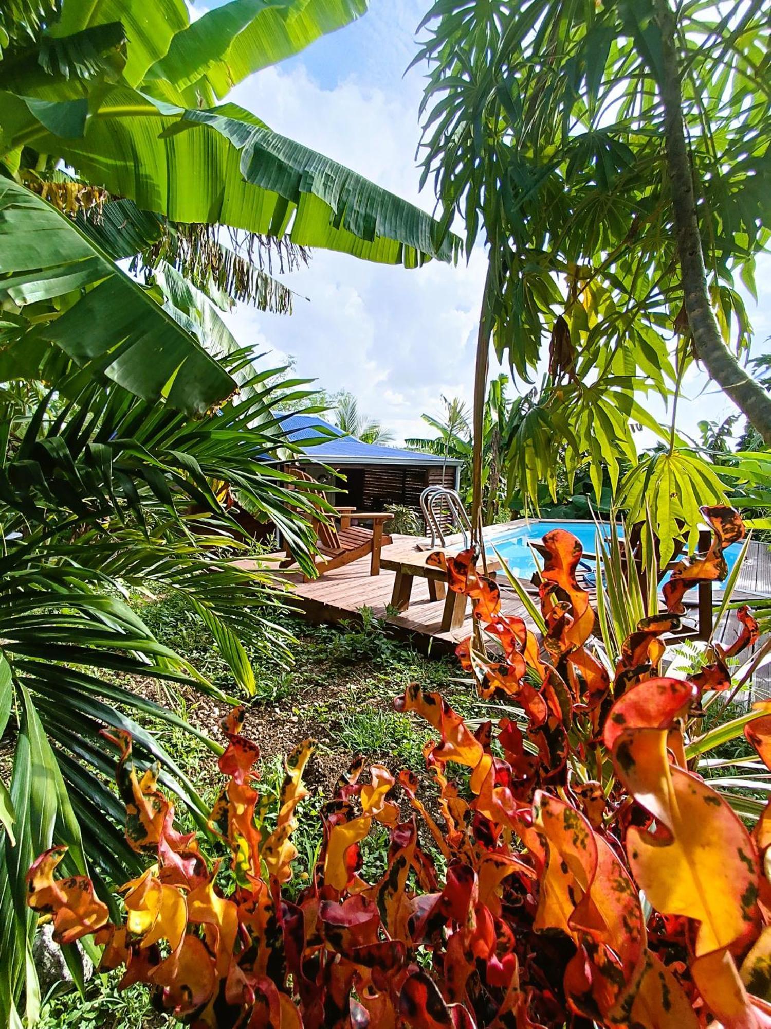 Le Paradis Des Colibris Villa Anse-Bertrand Dış mekan fotoğraf